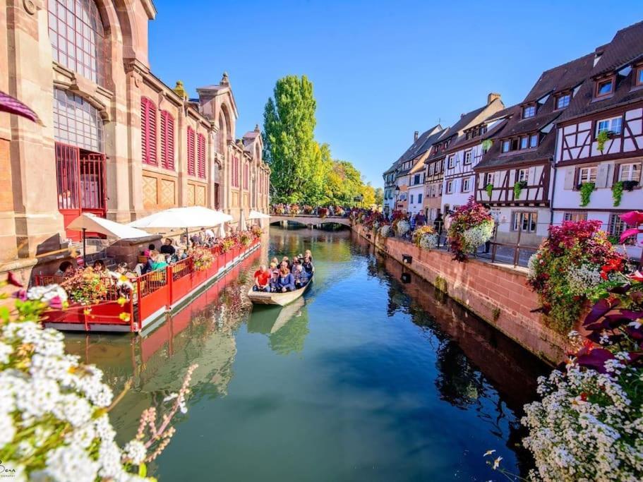 Appartement Climatise 70 M2, Proximite De Colmar Sainte-Croix-en-Plaine ภายนอก รูปภาพ